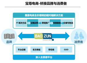 宝尊携手希杰重构电商版图 撬动万亿级市场 市场营销策划全解析