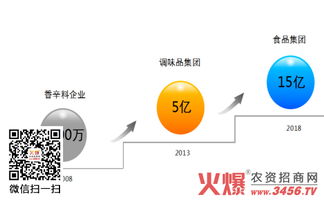 五年蝶变 鸿兴源调味品从2000万到6亿的营销策划之路